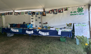 project table and photo contest at fair