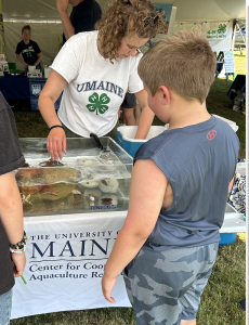 youth look at an ocean touch tank