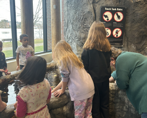 exploring a touch tank