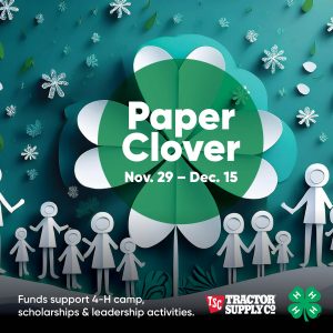 Paper Clover Nov. 29-Dec. 15