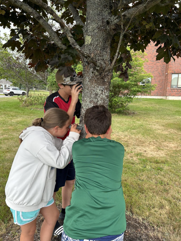 Youth explore tree moss.