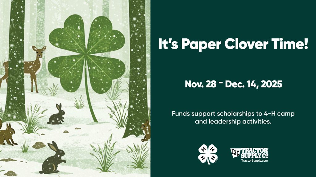 Paper Clover Time Nov 28-Dec 14; animals in a snowy forest scene