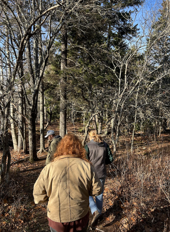 youth walking through the woods