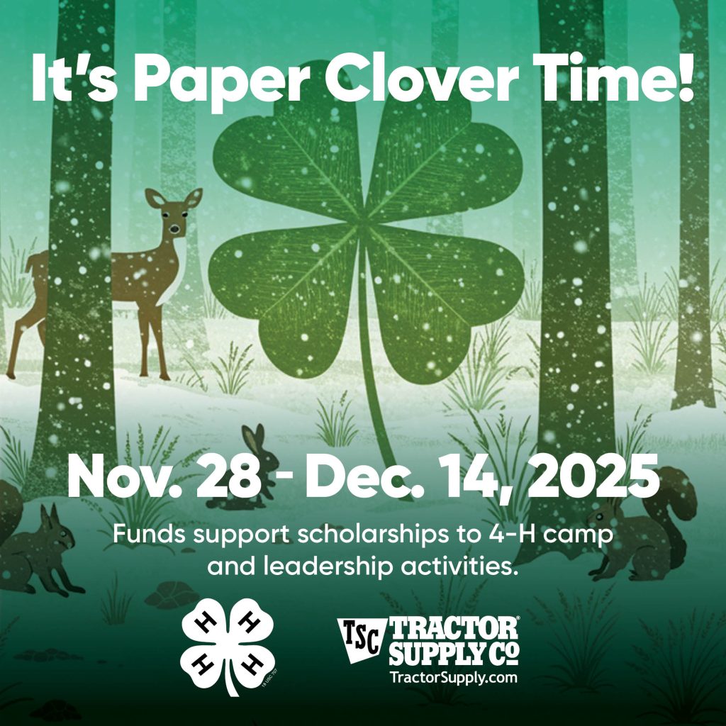 It's Paper Clover Time Nov. 28-Dec. 14, 2025
