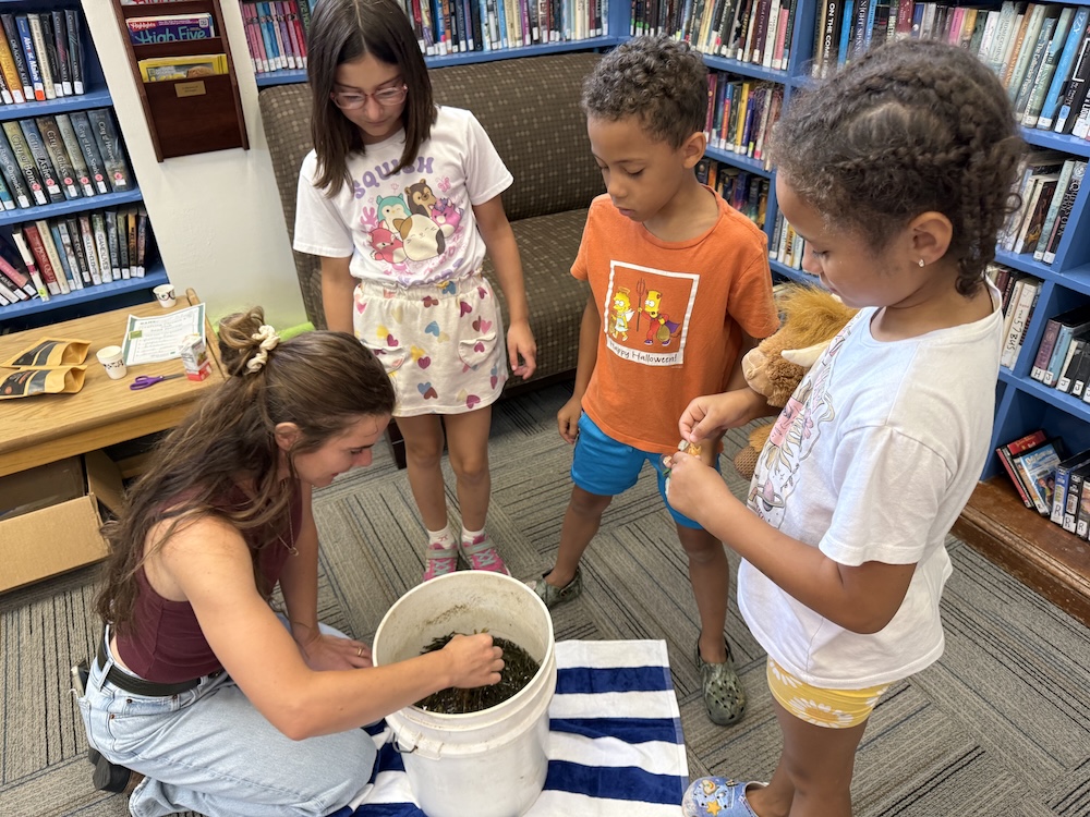 4-H professional instructs youth at a library.
