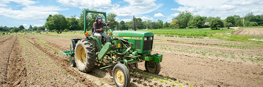 Choosing A Respirator For Farm Work Maine Agrability University Of Maine