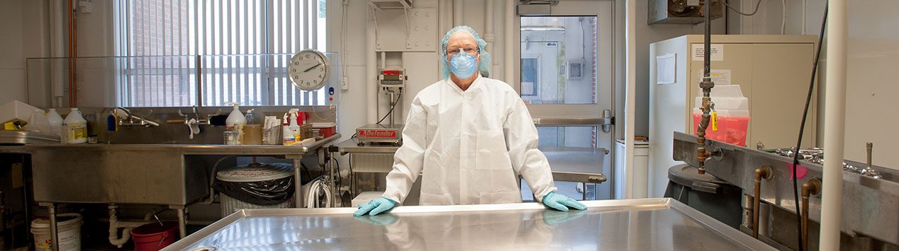 Dr. Anne Lichtenwalner dressed to perform a necropsy in the Animal Health Lab