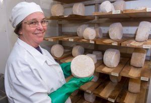 cheese producer with aging hard cheeses