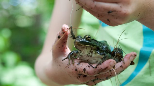 youth holding a frog