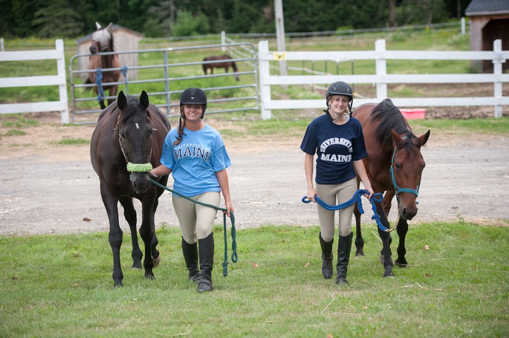 Two UMaine students leading horses across a paddock