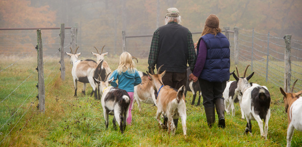 farm family with goats