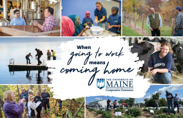 collage of images for promotion of "When going to work means coming home" image button link for home page of Extension