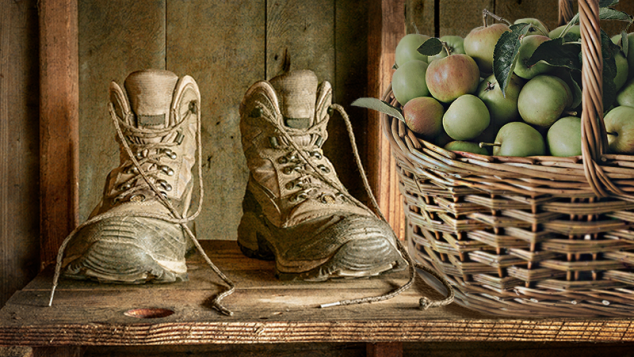 header image for Boots 2 Bushels information page - compilation image of work boots next to a basket of apples