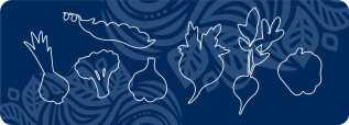 PFAS graphic element with line art of vegetables against a decorative florish background of UMaine dark blue