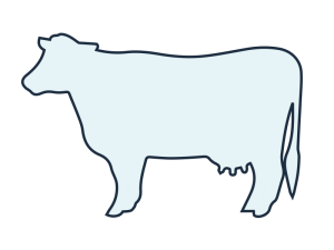 line art icon for a dairy cow for the pfas faqs page