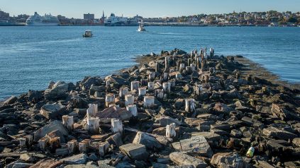 Portland Maine skyline with wooden pilings in the foreground