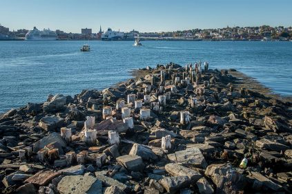 Portland Maine skyline with wooden pilings in the foreground