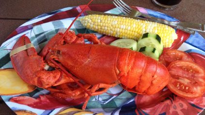 Steamed lobster on a platter with an ear of corn, cucumber and tomato slices