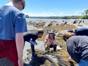 A group of budding citizen scientists learn about rockweed phenology along the coast in Brunswick.