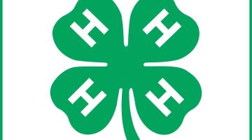 4-H logo