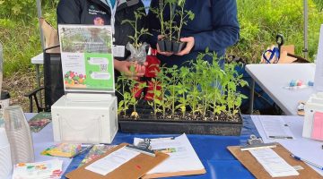 Volunteer Kate Fergola from Northern Light Mayo Hospital helps Extension Community Education Assistant Laurie Bowen hand out tomato seedlings during the 2023 Black Fly Festival in Milo