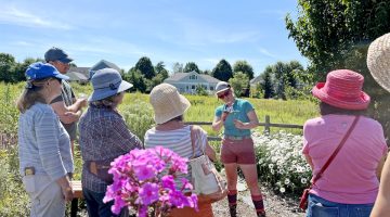 people visiting the gardens at Tidewater Farm