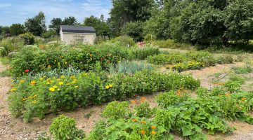 gardens at Tidewater Farm