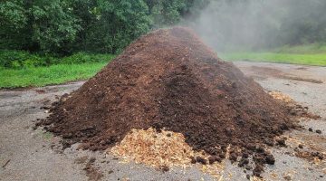 compost pile