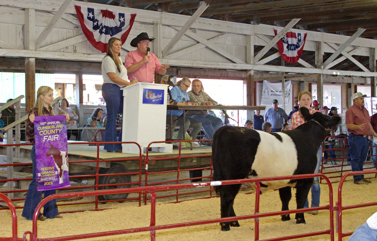 Cumberland County Fair livestock auction