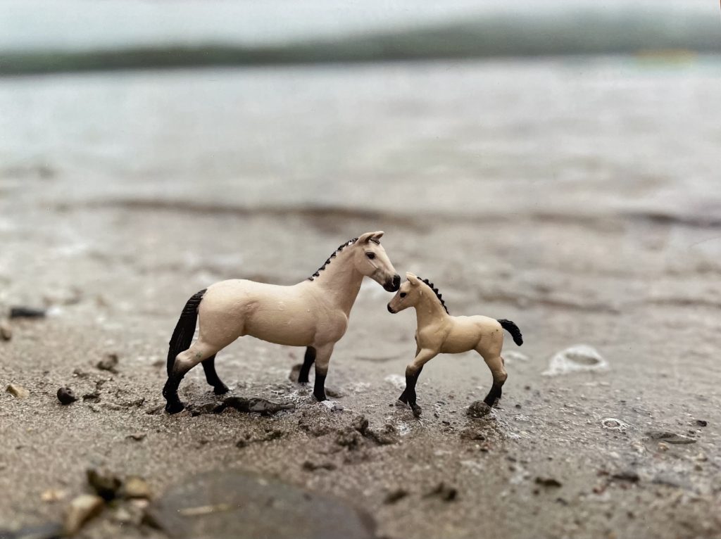 two plastic horses facing each other on the shore