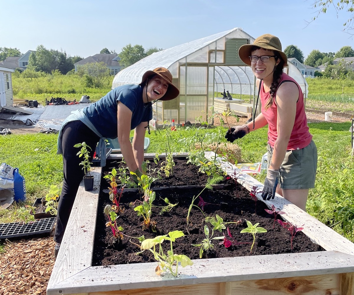 featured image for UMaine Extension to open registration for horticulture and gardening training programs