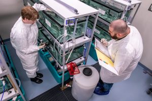 Students work maintaining aquaculture tanks