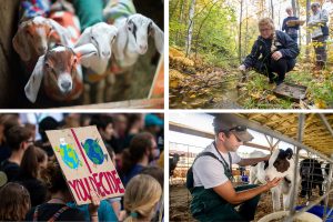 collage of youth, livestock, farm care, and climate