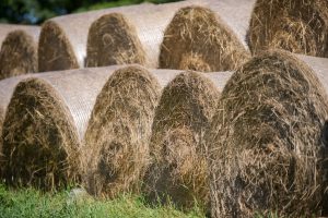 hay bales