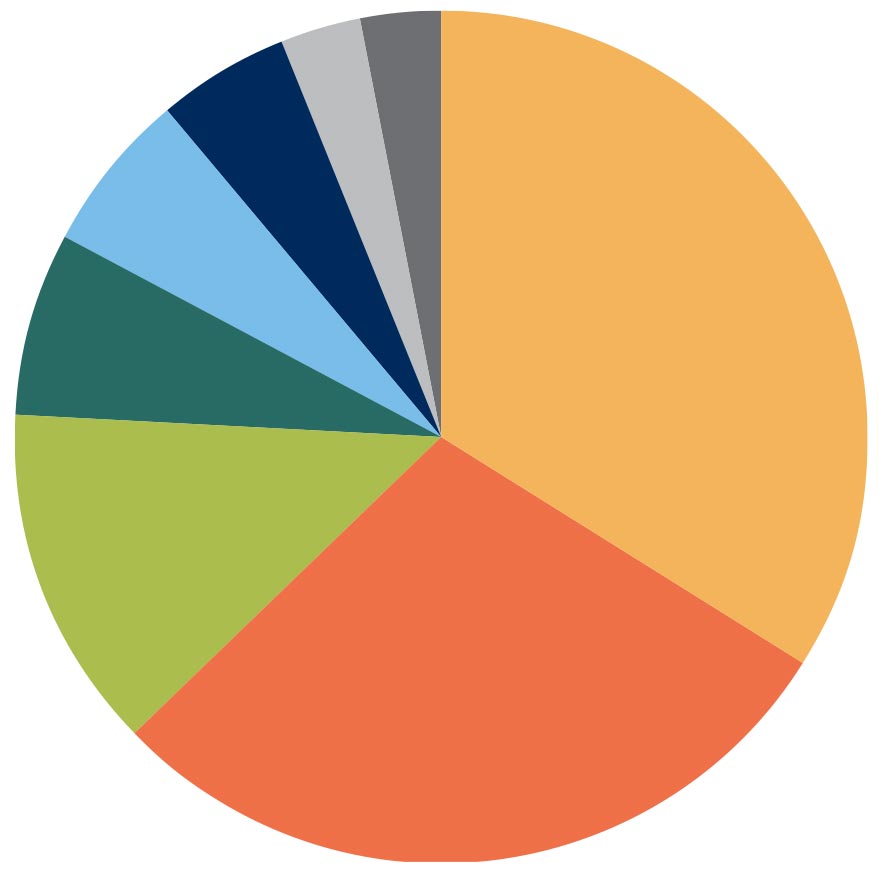 financial pie chart for the 2024 Annual Report - see the web page for the percentages represented in the chart.