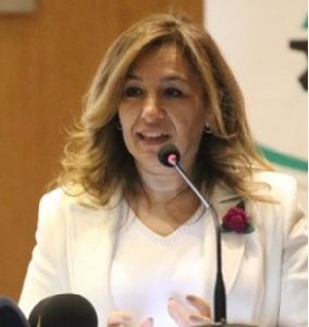 Gulsun Akdemir Evrendilek