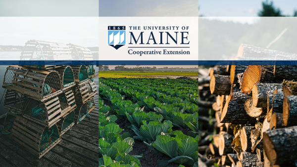 Business Planning collage of three images, one with lobster traps, one with field crops, and one with lumber