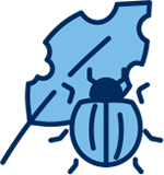 impact on potato industry, bug and bitten up leave from a plant - graphic for count up feature on annual report