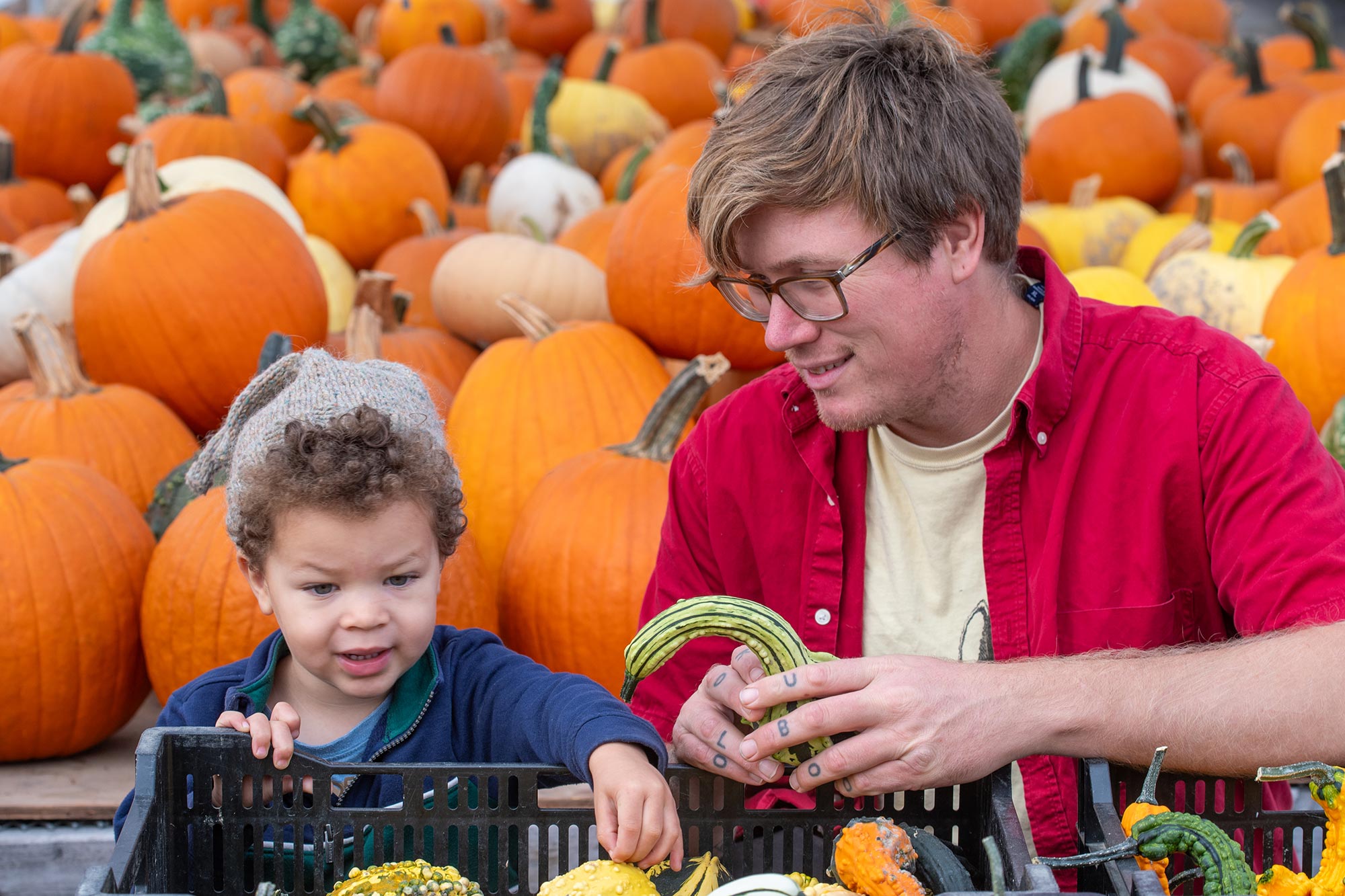 parent and child picking out pumpkins at a farm stand