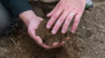 hands holding soil