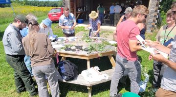Workshop participants identifying invasive species.