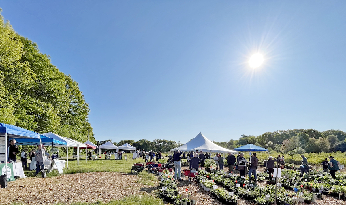 featured image for Extension Master Gardeners host annual plant sale fundraiser in Falmouth