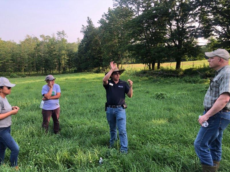 featured image for UMaine Extension to host pasture walk in Leeds at Sparkplug Farm