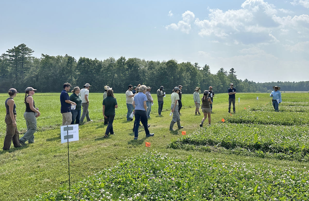 featured image for UMaine Extension to host sustainable agriculture research tour