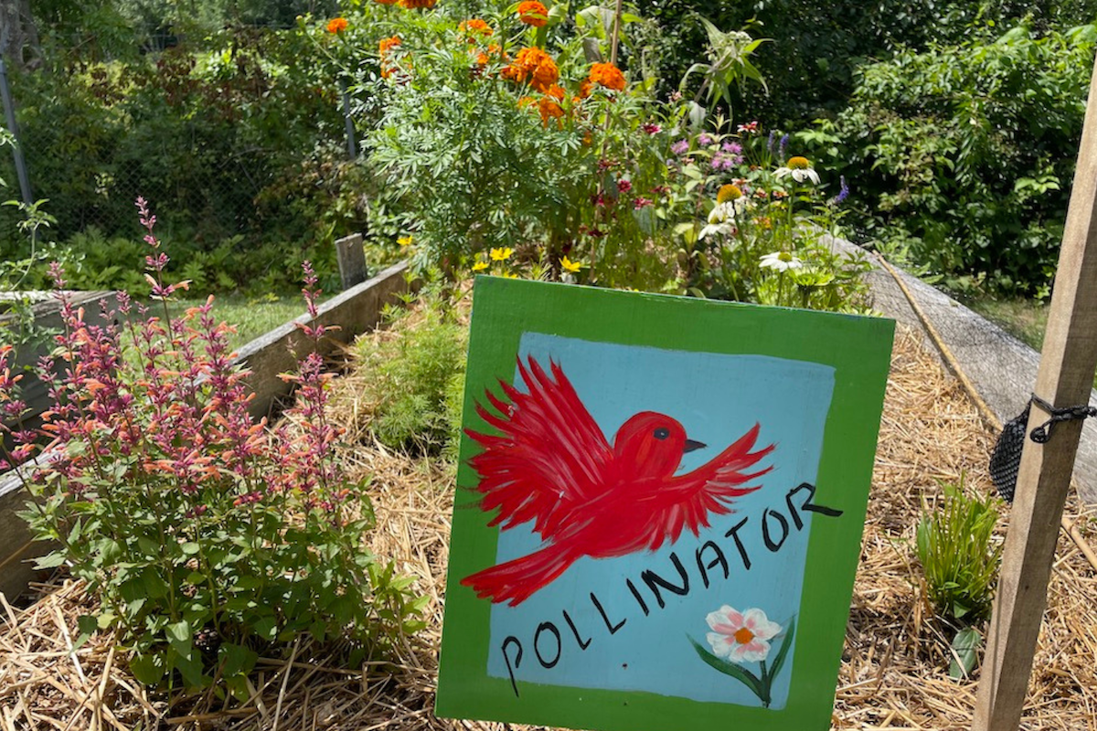 featured image for UMaine Extension offers workshop on pollinator-friendly gardening