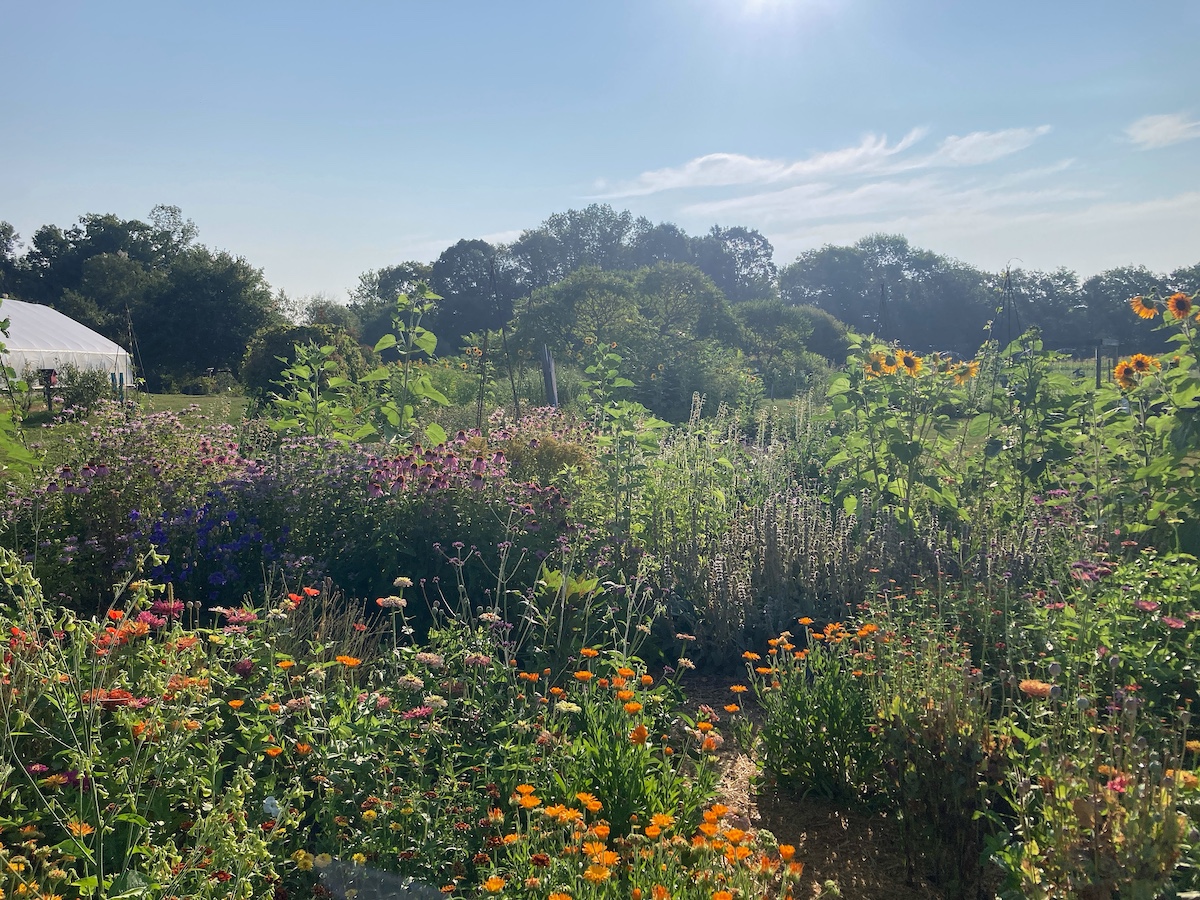 featured image for Annual Garden Fest offers free, family-friendly fun at Rogers Farm in Old Town