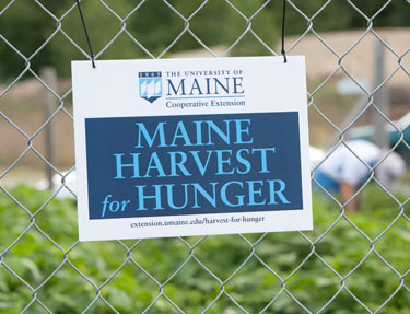 Maine Harvest for Hunger sign
