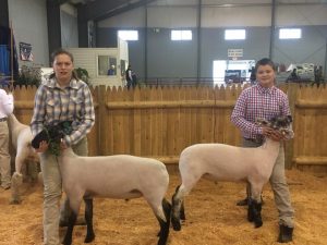 Kaitlin and Nick with their lambs at Fryeburg Fair.
