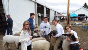 Club members from York County Shepherds and Lucky Charms hanging out together at Fryeburg Fair.