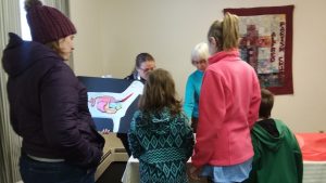 York County Shepherds 4-H'ers learning aspects of a ruminants digestive system